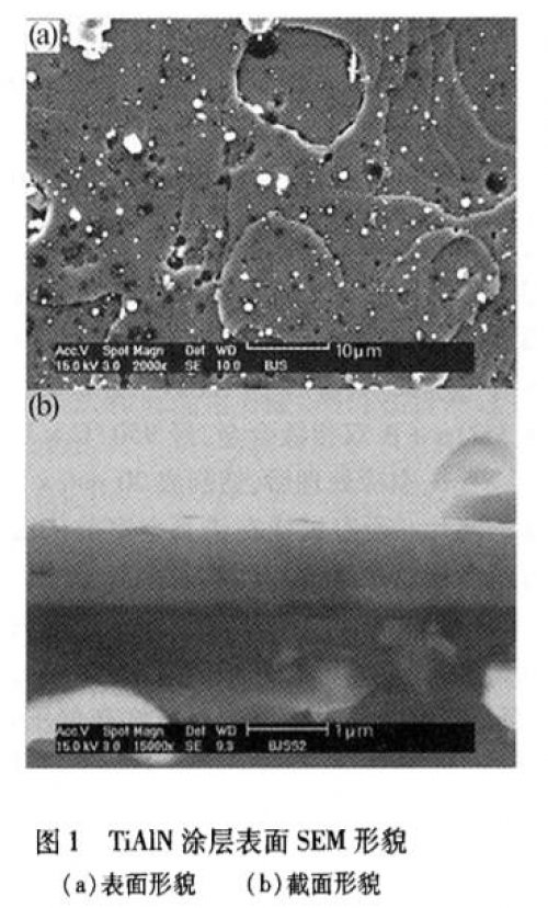 TC11钛合金表面PVD真空电弧离子镀TiAlN涂层防护性能的研究