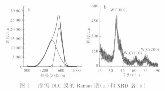 摩擦条件对掺钨类金刚石DLC膜摩擦磨损性能的影响